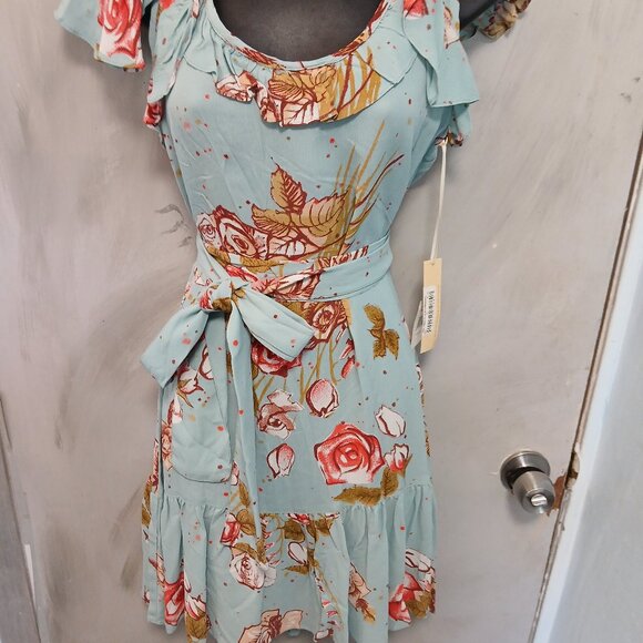 Uncle Frank Aqua Rose Dress - Picture 14 of 14